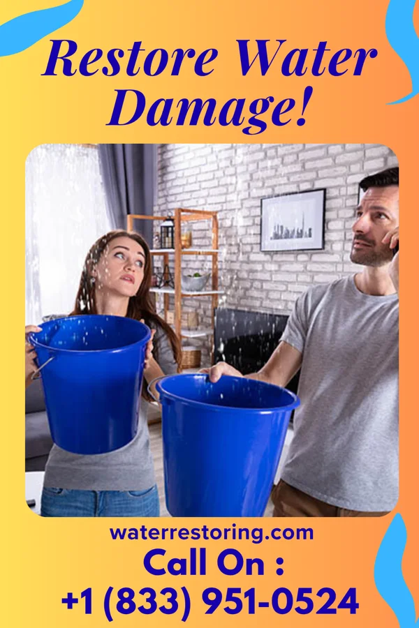 water restoration Beacon Disaster Cleanup Masters Wallis