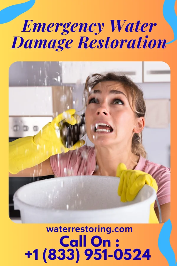 Emergency Water Damage Restoration in Wallis, TX
