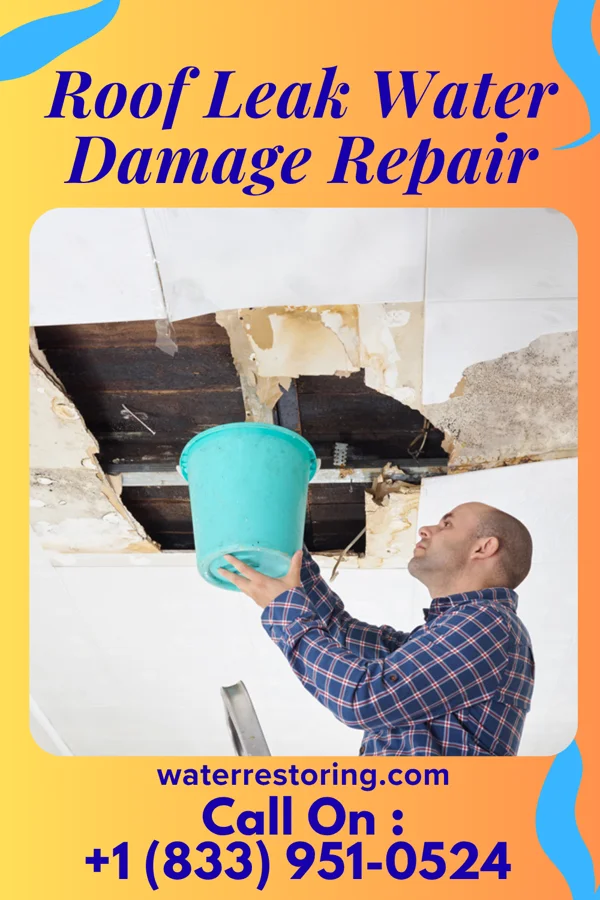 Roof Leak Water Damage Repair in Wallis, TX