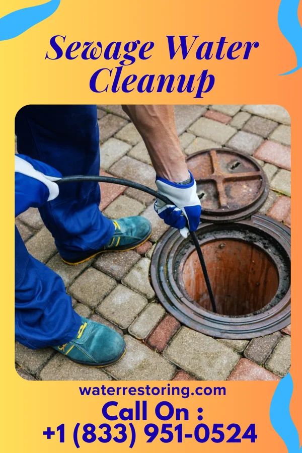 Sewage Water Cleanup in Wallis, TX