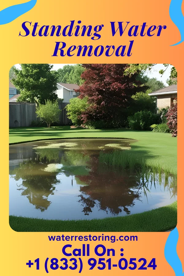 Standing Water Removal in Wallis, TX
